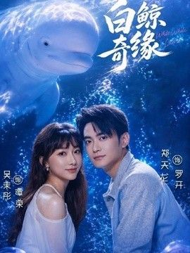 白鯨奇緣海報(bào)
