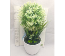 濟(jì)南盆景產(chǎn)品庫 奇石盆景的價(jià)格、圖片與廠家指南