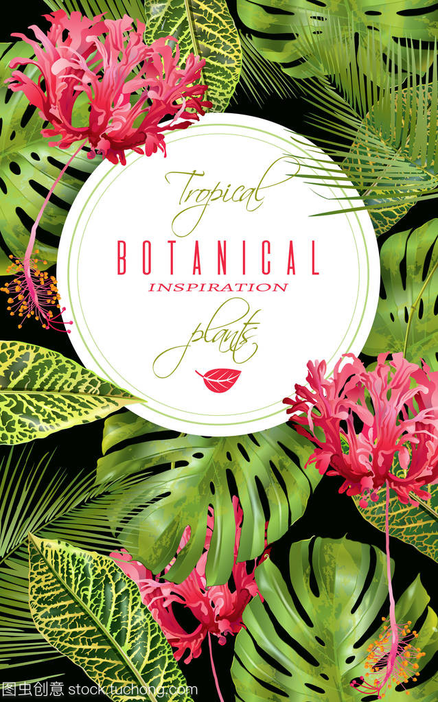 熱帶花卉垂直橫幅 自然藝術(shù)與空間美學(xué)的融合